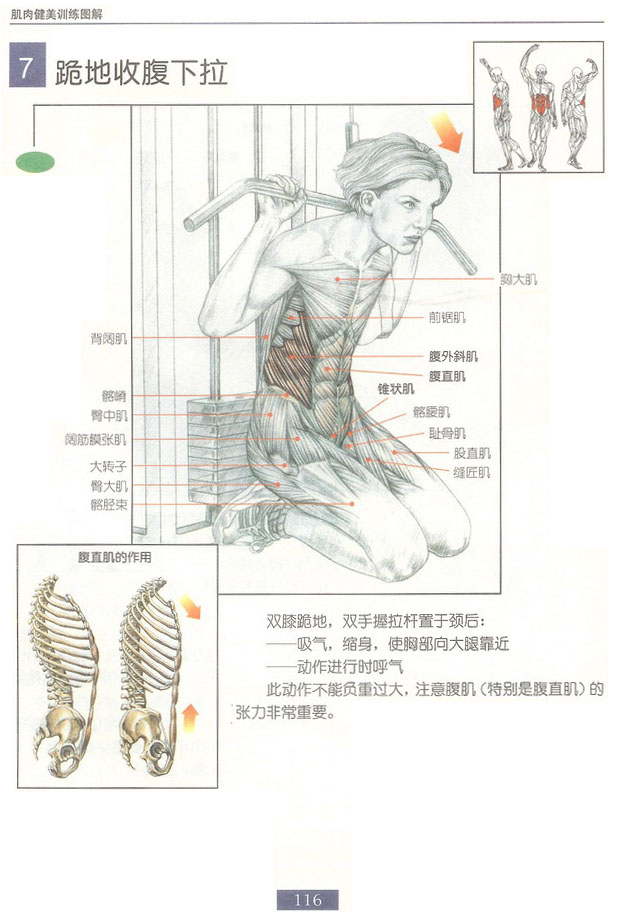 跪地收腹下拉.bmp