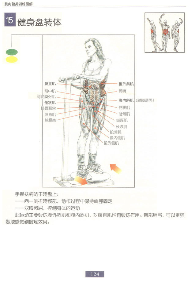 健身盘转体.bmp