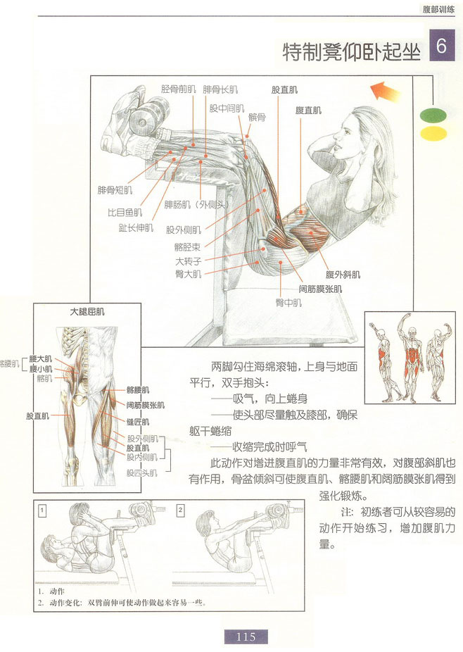 特制凳仰卧起坐.bmp