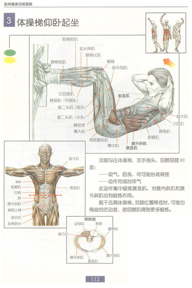 体操梯仰卧起坐.bmp
