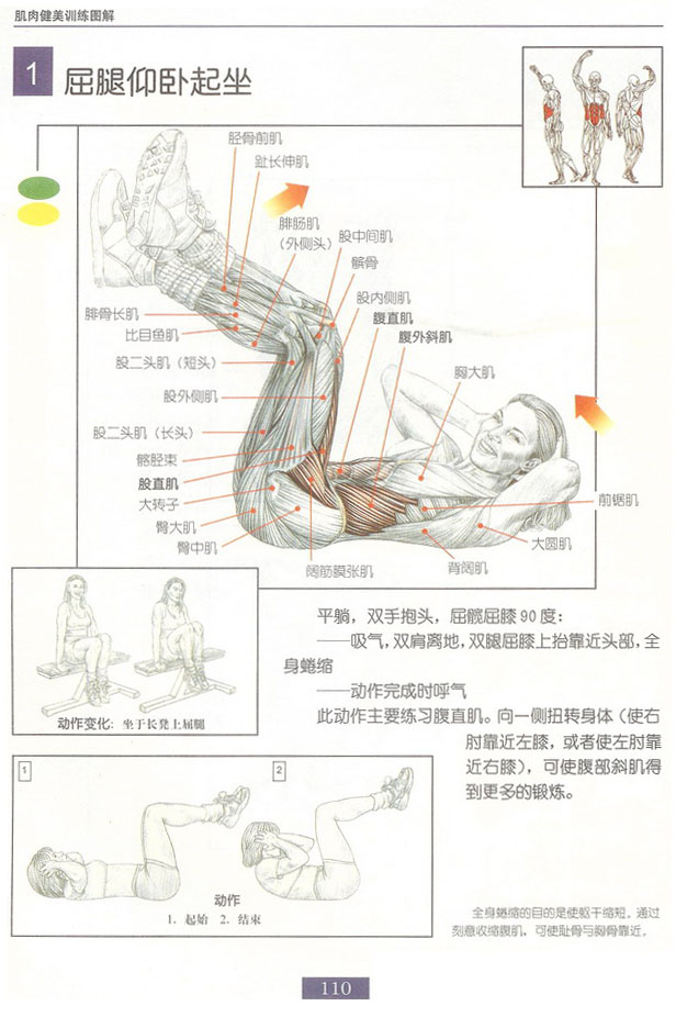 屈腿仰卧起坐.bmp