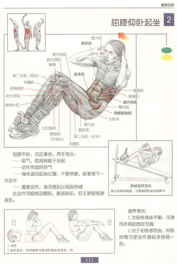 屈腿仰卧起坐2.bmp