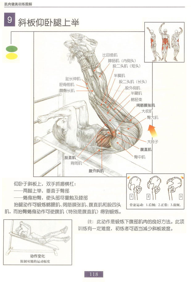 斜板样卧腿上举.bmp
