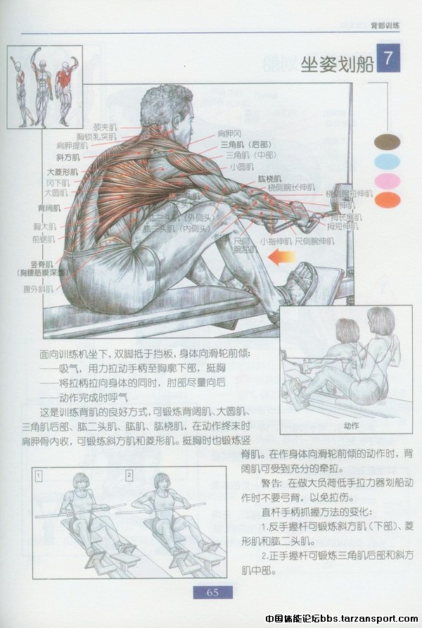 p_large_AXQY_687e00059cd75c44.jpg