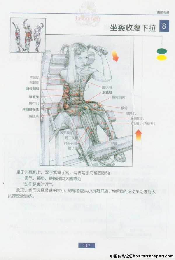 p_large_VYvr_67190009049d5c3f.jpg