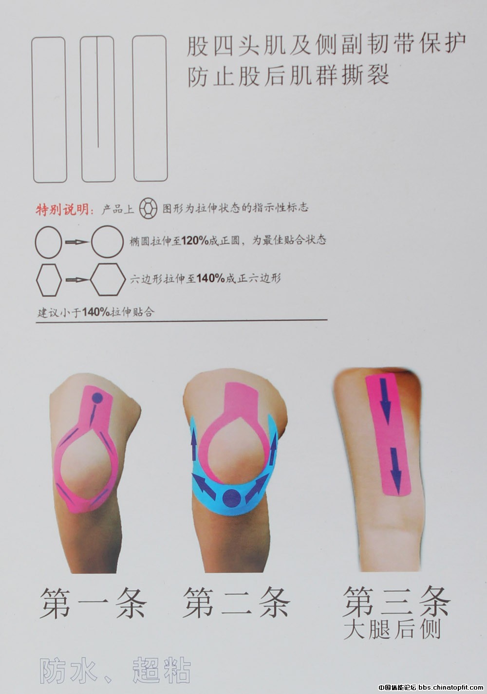 TPT-00005-02.jpg